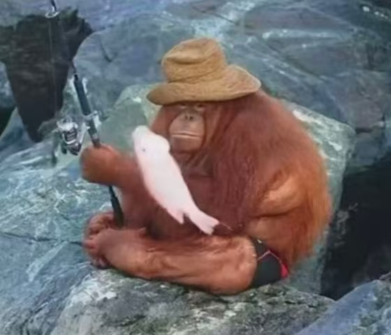 Custom Red Orangutan Fishing Piece